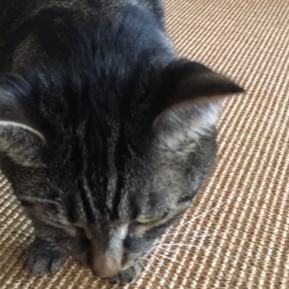 Meet your Posher, Sejin